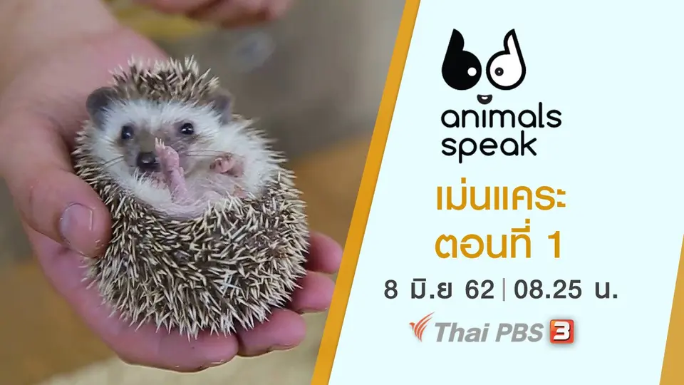 Animals Speak