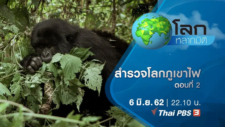 โลกหลากมิติ