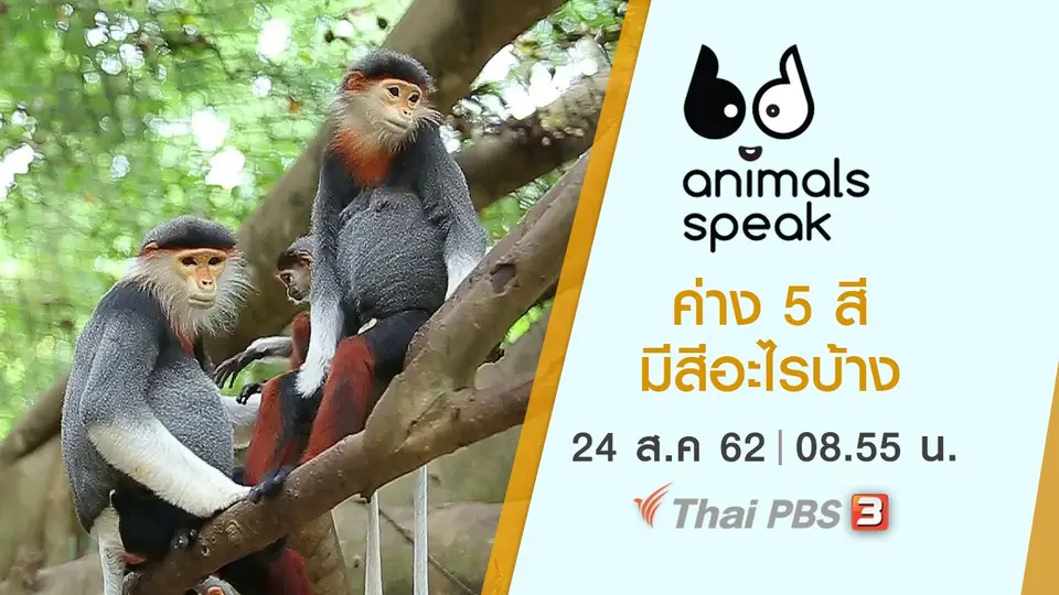Animals Speak