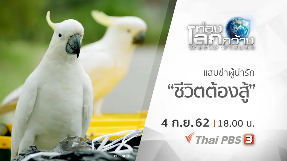 ท่องโลกกว้าง