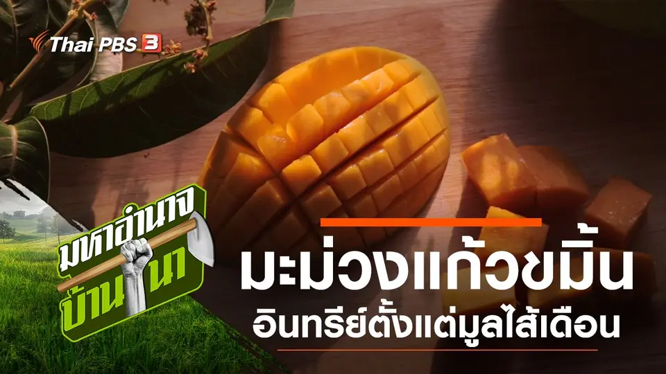 มหาอำนาจบ้านนา