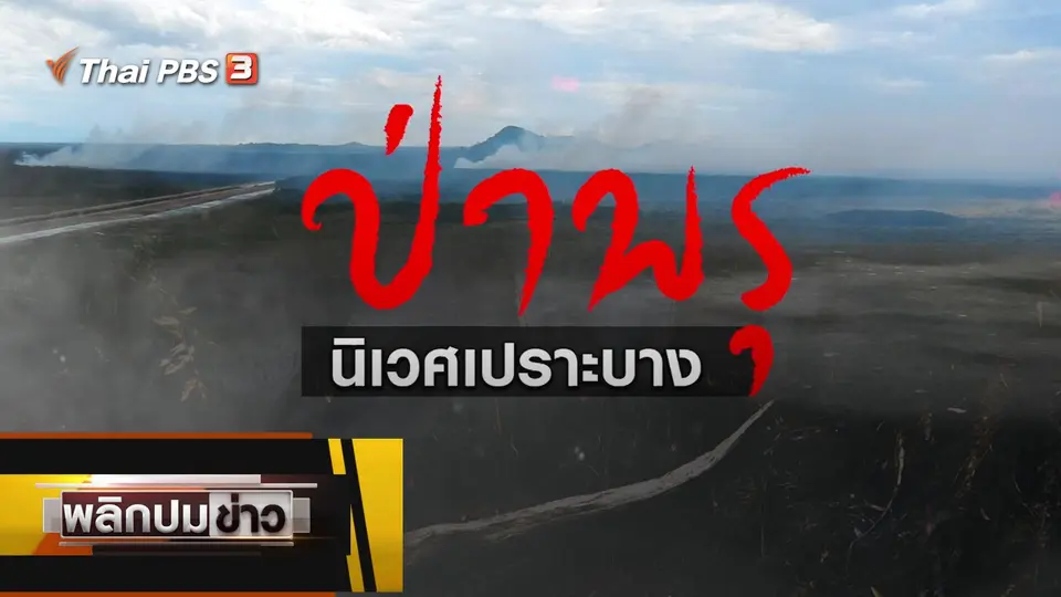 ป่าพรุ นิเวศเปราะบาง