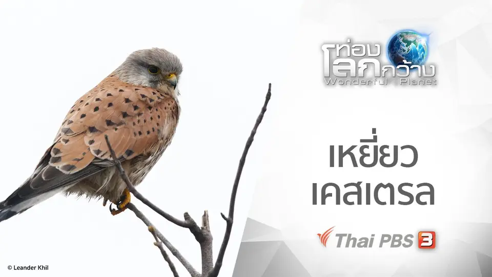 ท่องโลกกว้าง