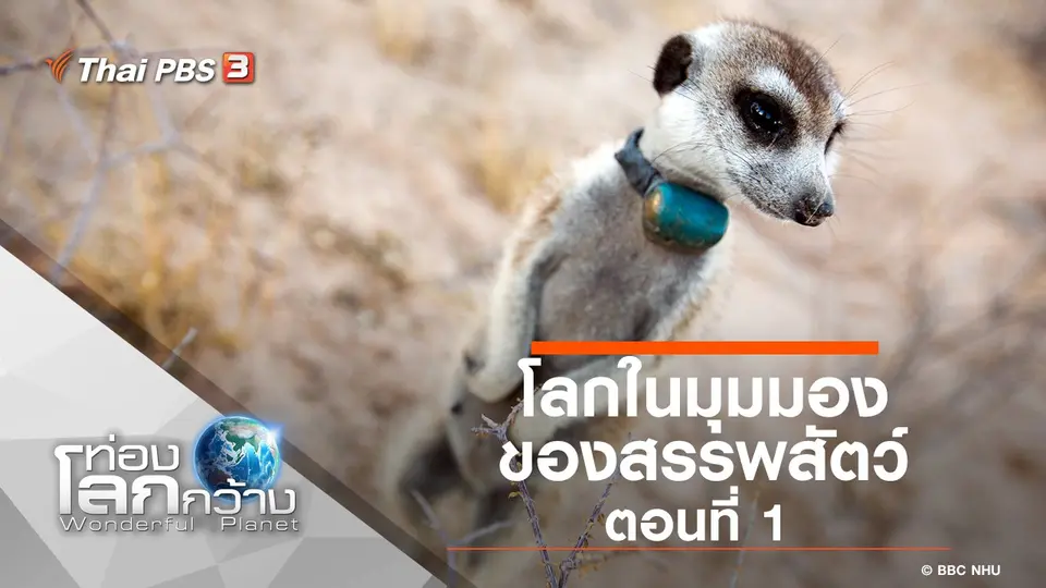 ท่องโลกกว้าง
