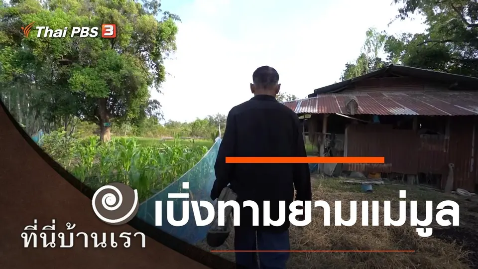 เบิ่งทามยามแม่มูล