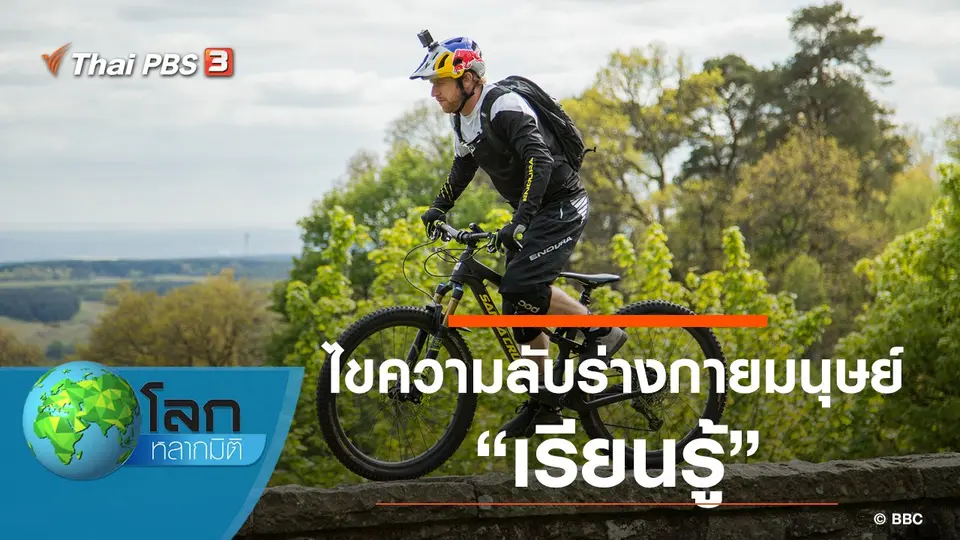 โลกหลากมิติ