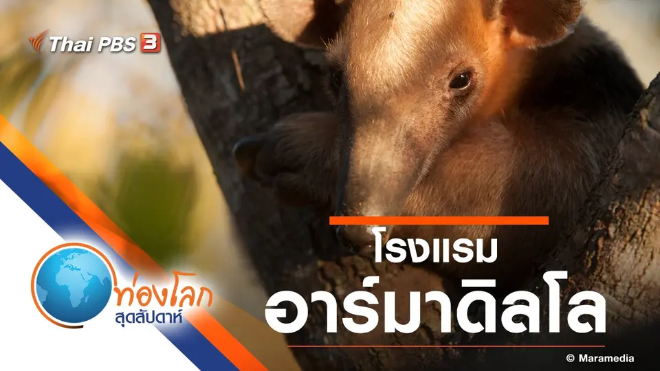 ท่องโลกสุดสัปดาห์