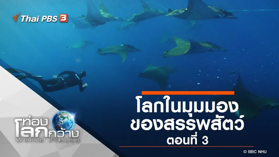 ท่องโลกกว้าง