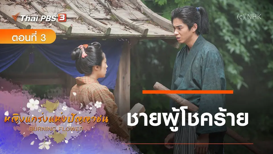 ซีรีส์ญี่ปุ่น หญิงแกร่งแห่งปัญญาชน