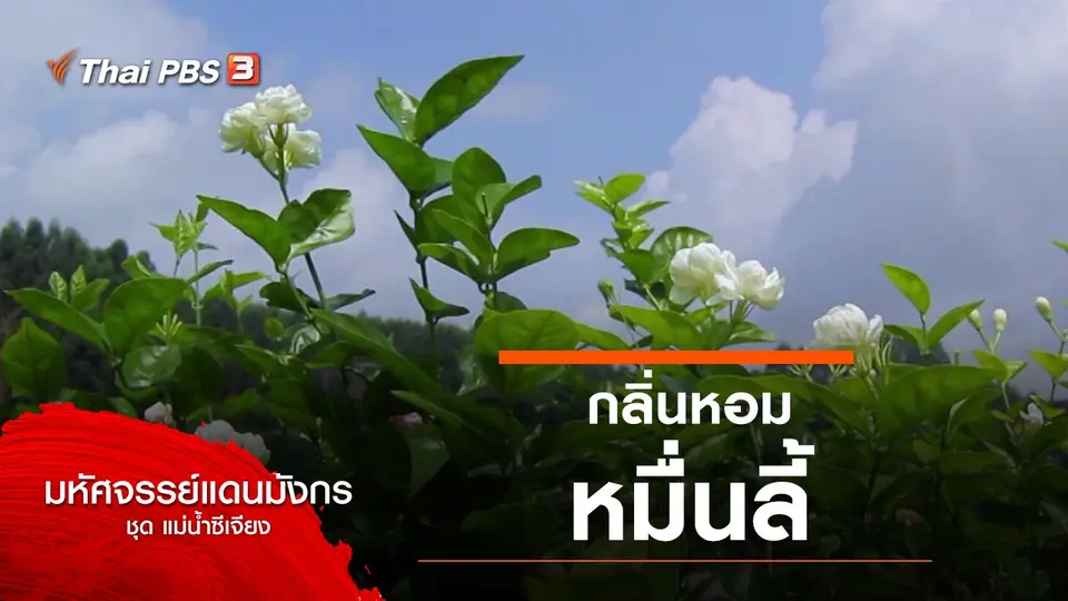 มหัศจรรย์แดนมังกร