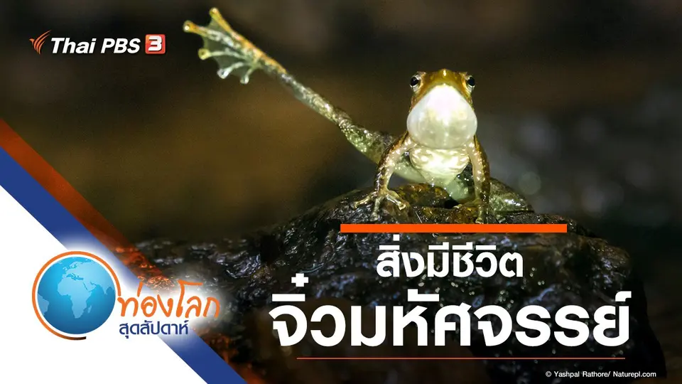 ท่องโลกสุดสัปดาห์