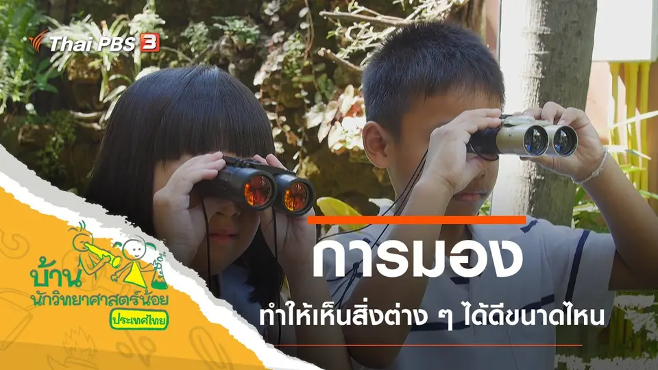 การมอง