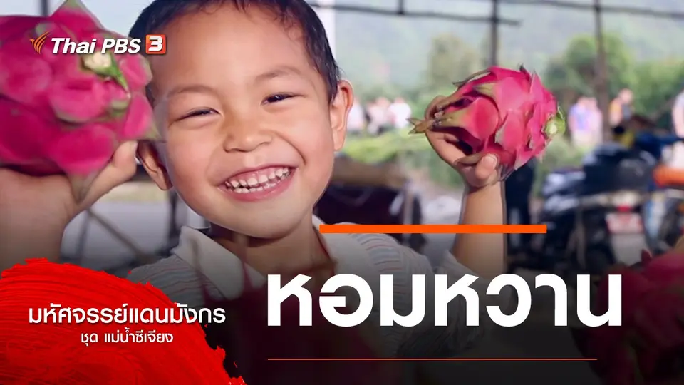 มหัศจรรย์แดนมังกร
