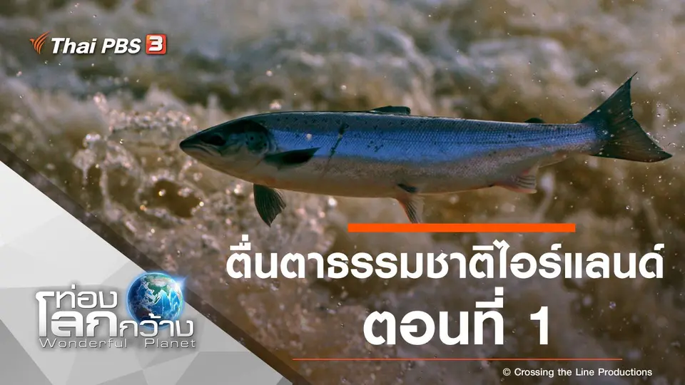 ท่องโลกกว้าง