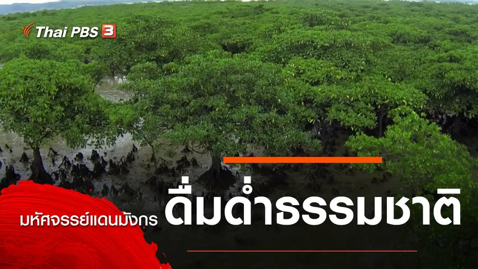 มหัศจรรย์แดนมังกร