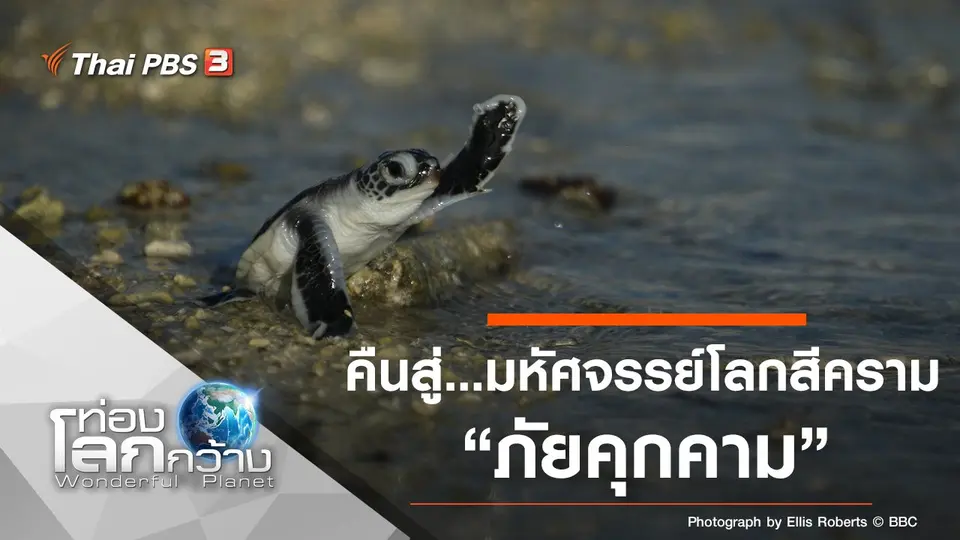 ท่องโลกกว้าง