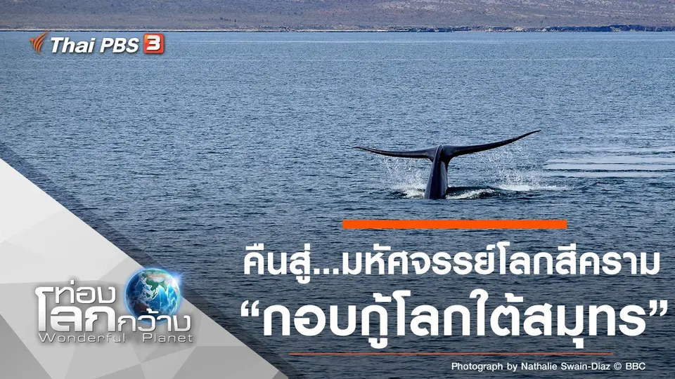 ท่องโลกกว้าง