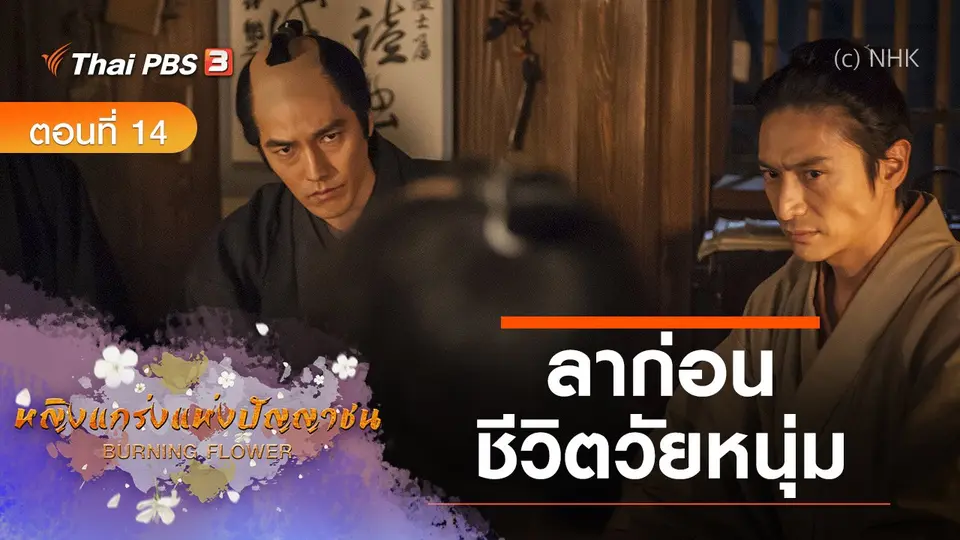 ซีรีส์ญี่ปุ่น หญิงแกร่งแห่งปัญญาชน