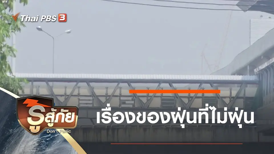 ​เรื่องของฝุ่นที่ไม่ฝุ่น