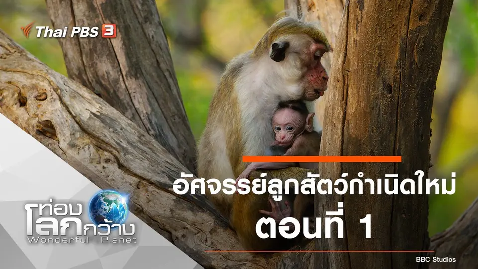 ท่องโลกกว้าง