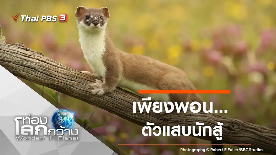 ท่องโลกกว้าง