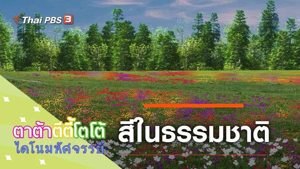 สีในธรรมชาติ