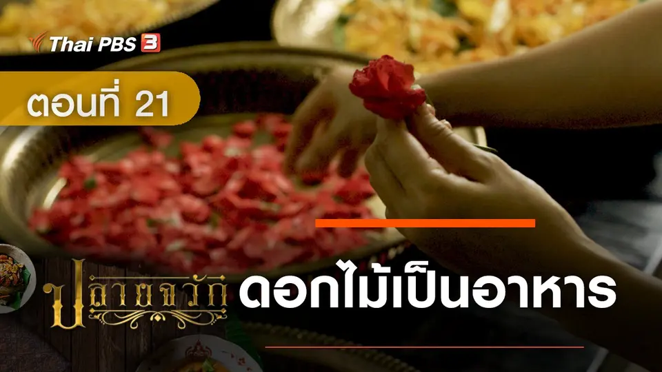 ปลายจวัก