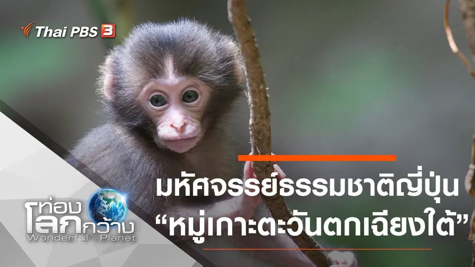 ท่องโลกกว้าง