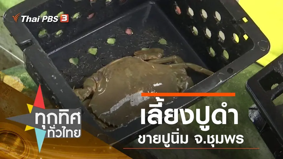 ประเด็นข่าว (7 ก.พ. 63)