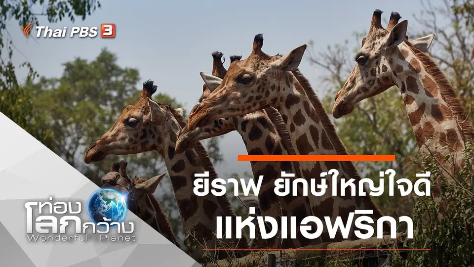 ท่องโลกกว้าง