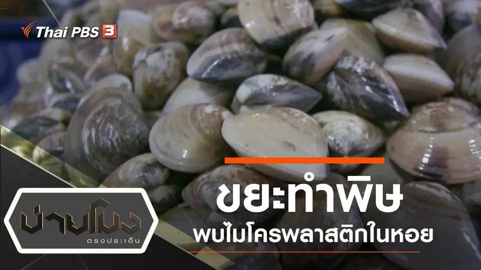 ประเด็นข่าว (25 ก.ย. 62)
