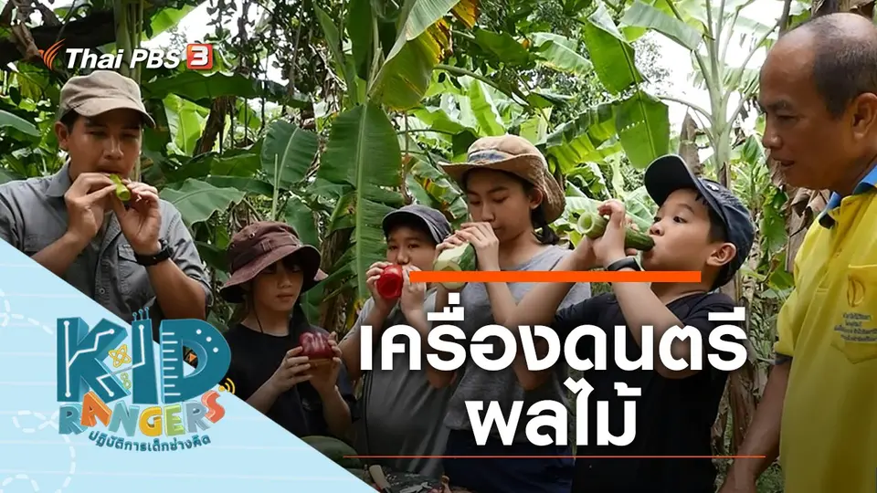 เครื่องดนตรีผลไม้