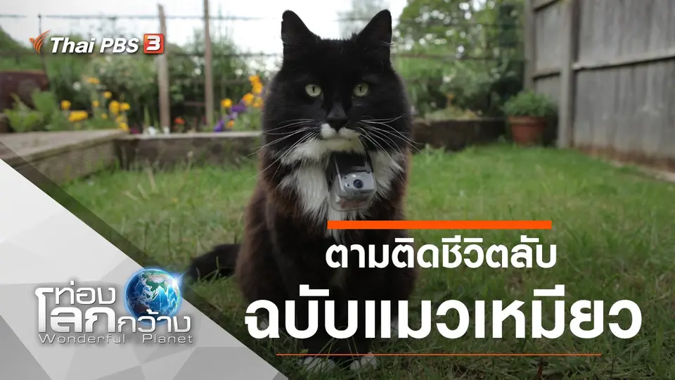 ท่องโลกกว้าง