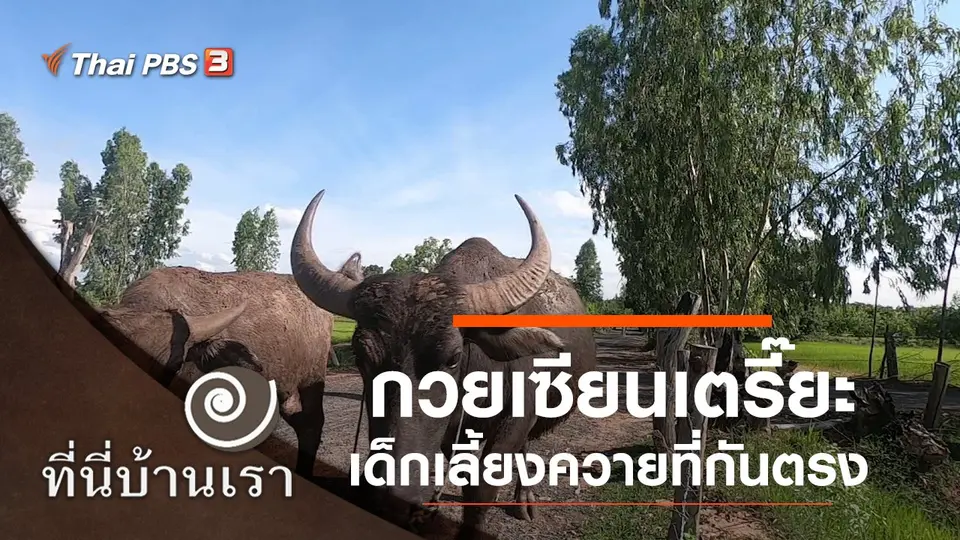 กวยเซียนเตรี๊ยะ