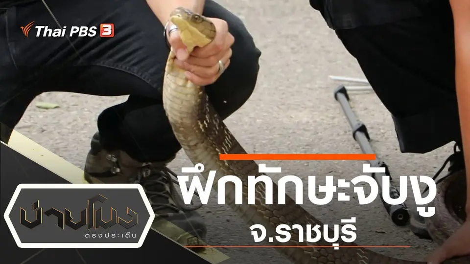 ทุกทิศทั่วไทย