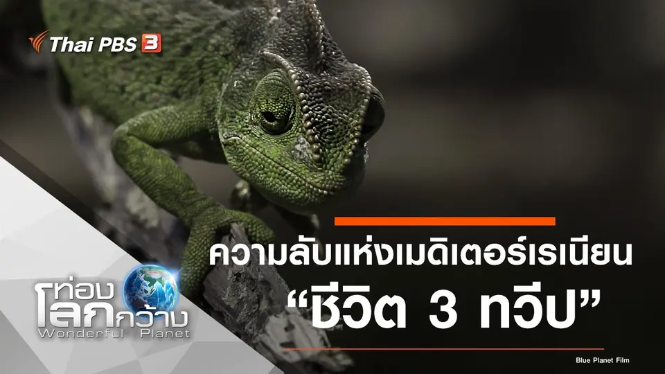 ท่องโลกกว้าง