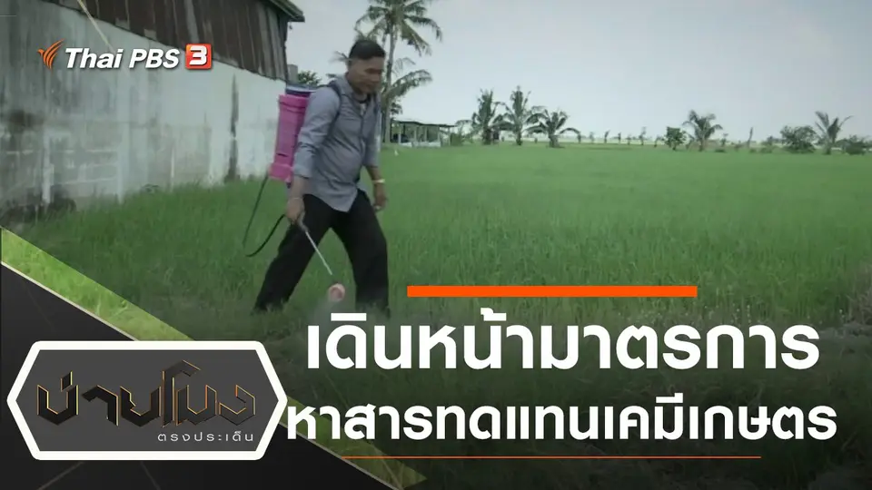 ประเด็นข่าว (25 ต.ค. 62)