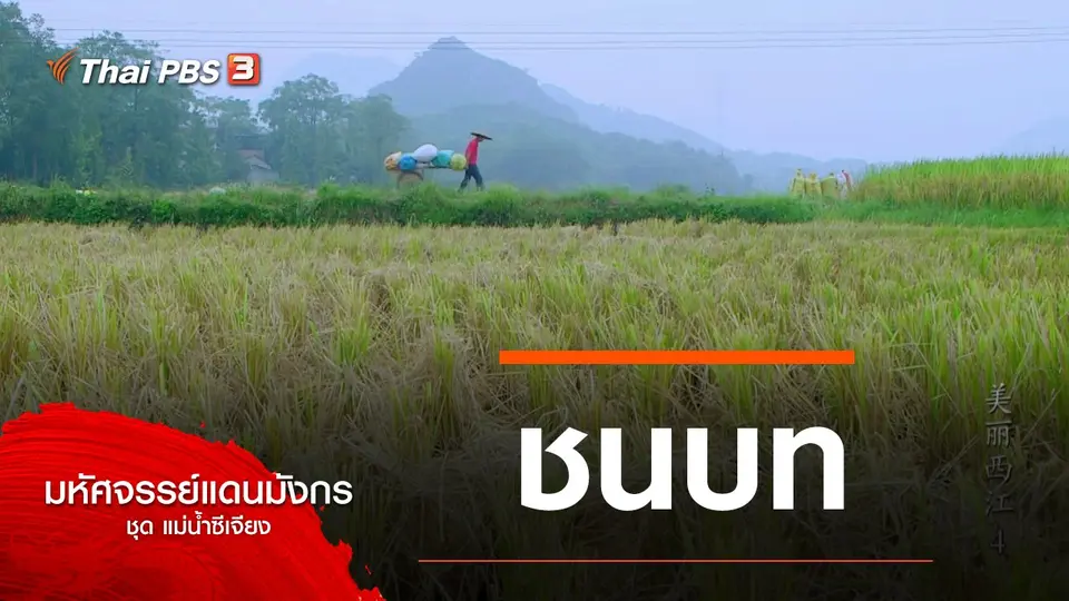 มหัศจรรย์แดนมังกร