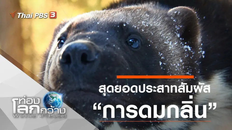 ท่องโลกกว้าง