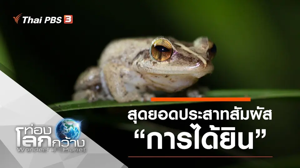 ท่องโลกกว้าง