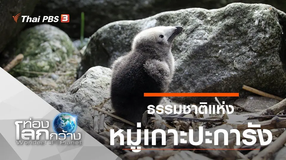 ท่องโลกกว้าง