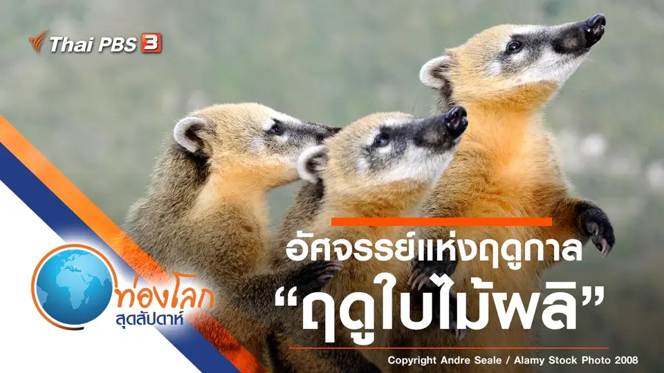 ท่องโลกสุดสัปดาห์