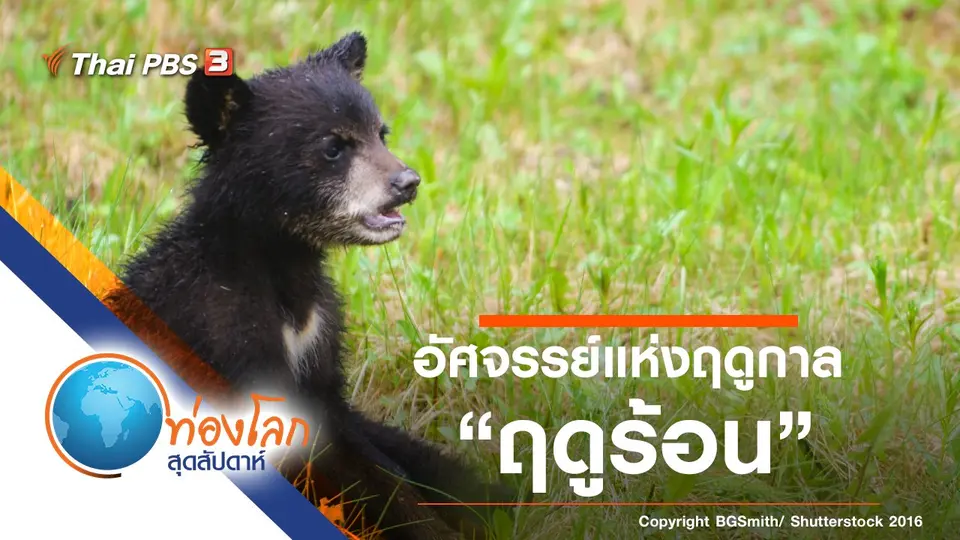 ท่องโลกสุดสัปดาห์