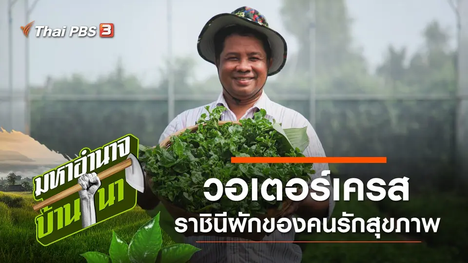มหาอำนาจบ้านนา