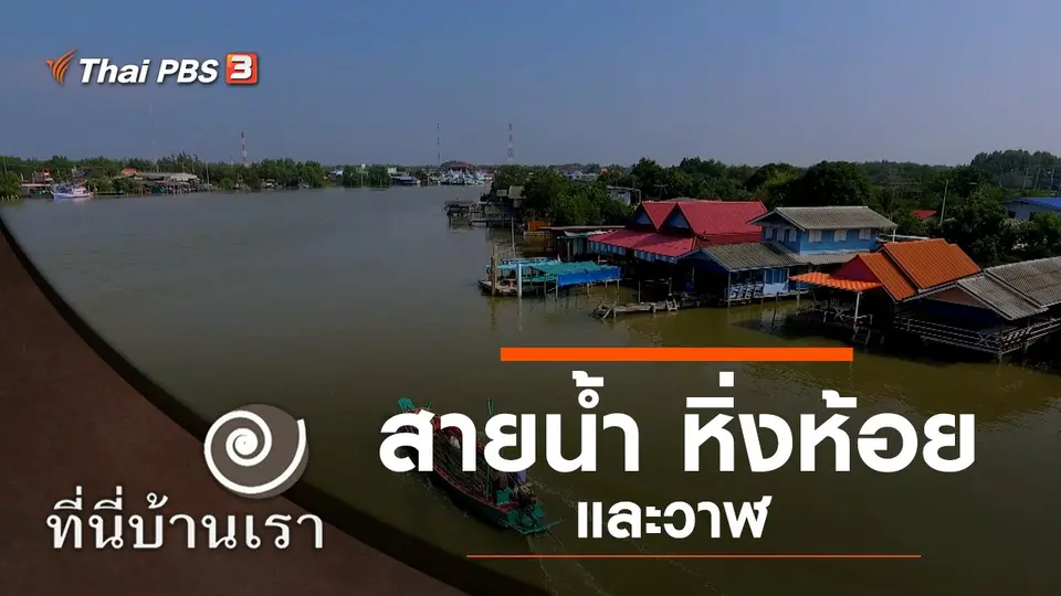 สายน้ำ หิ่งห้อย และวาฬ