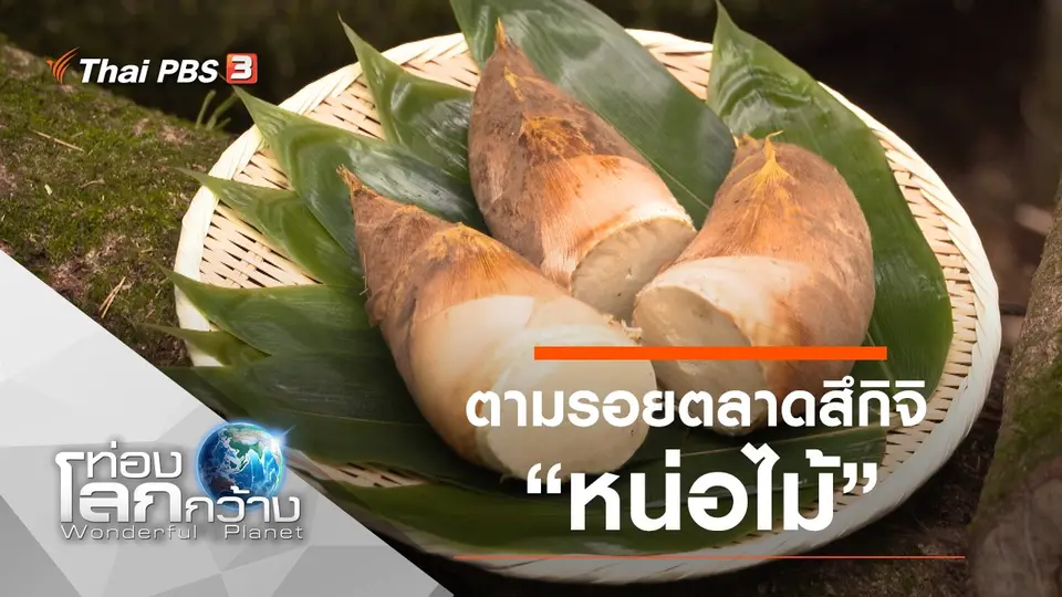 ท่องโลกกว้าง