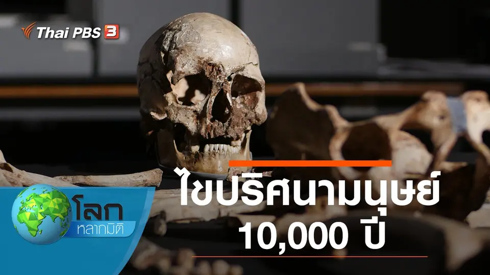 โลกหลากมิติ