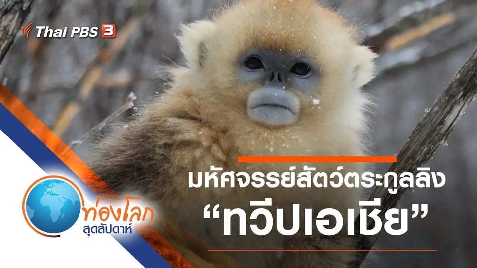 ท่องโลกสุดสัปดาห์