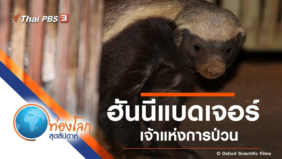 ท่องโลกสุดสัปดาห์