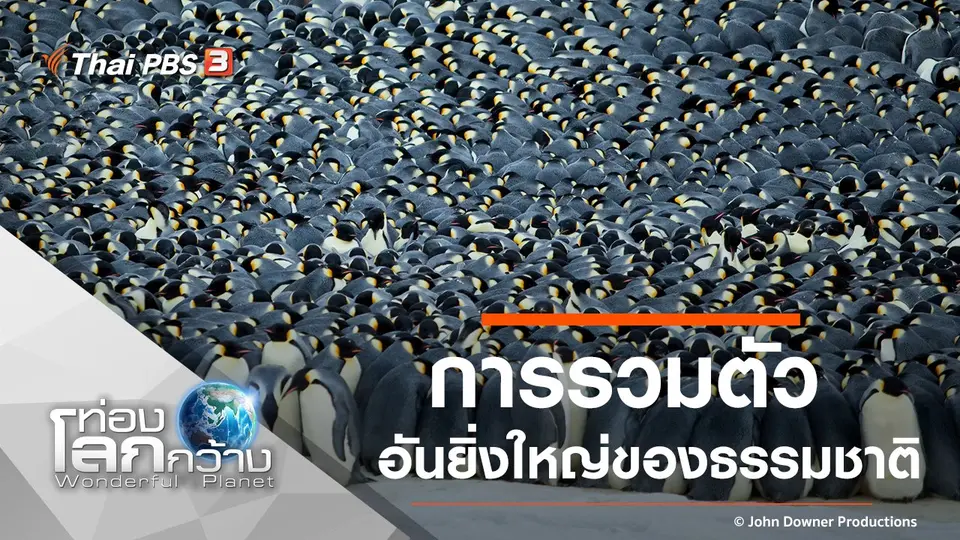 ท่องโลกกว้าง